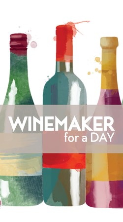 Winemaker for a Day - at 50 West Vineyards